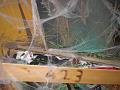 Halloween (44)